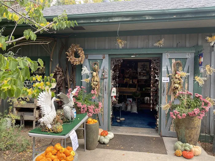 This Place Is For The Birds 12