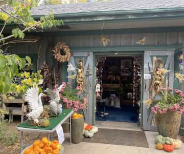 This Place Is For The Birds