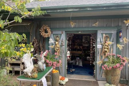 This Place Is For The Birds