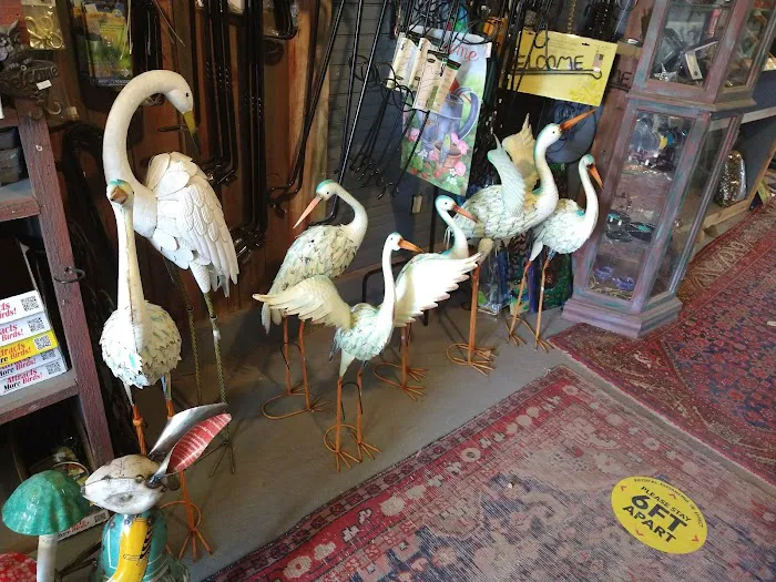 This Place Is For The Birds 12