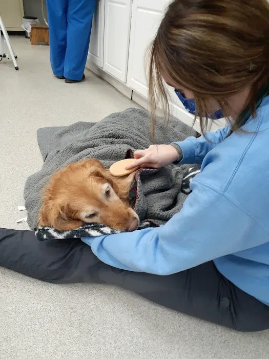 Spring Meadows Animal Hospital: Flowers Kady DVM 12