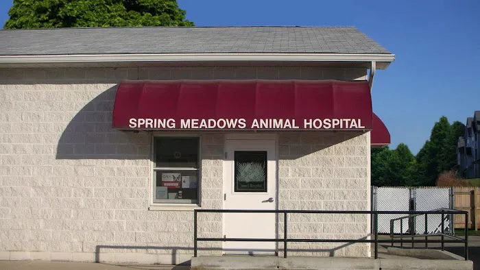 Spring Meadows Animal Hospital 12