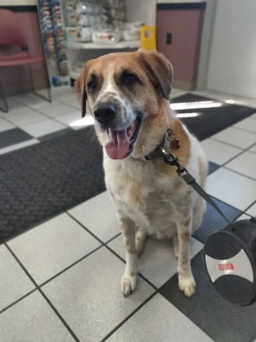 Spring Meadows Animal Hospital 12