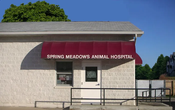 Spring Meadows Animal Hospital 12