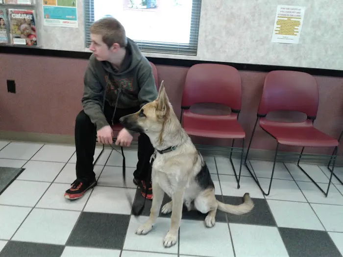 Spring Meadows Animal Hospital 12