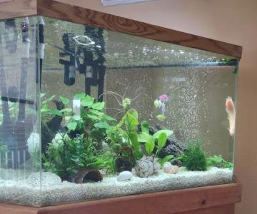 Tropical Treasures LLC