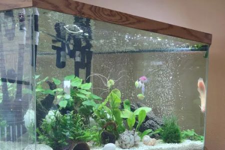 Tropical Treasures LLC