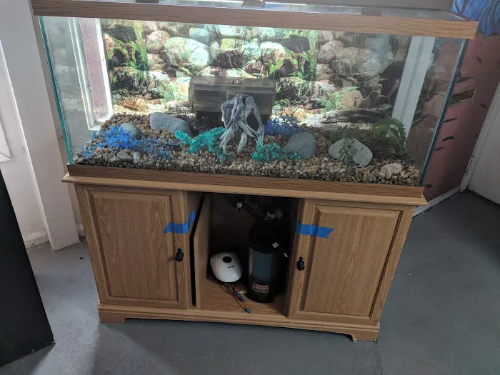 Tropical Treasures LLC 2