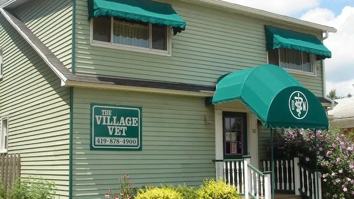 The Village Vet 12