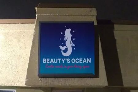 Beautys Ocean