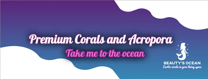 Beautys Ocean 12