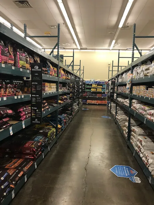 Petco 12