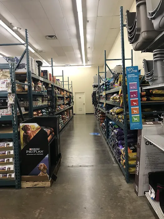 Petco 12