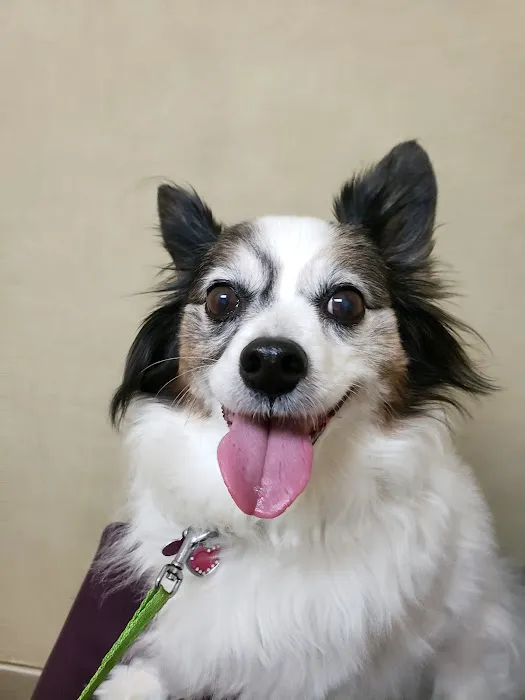 High Point Animal Hospital Inc 12