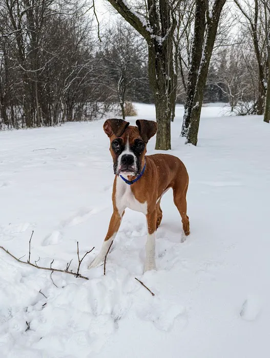 High Point Animal Hospital Inc 12