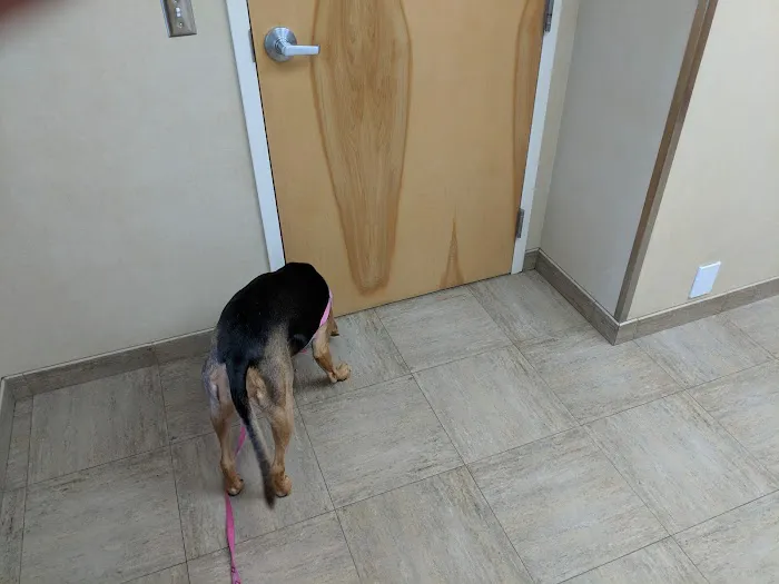 High Point Animal Hospital Inc 12