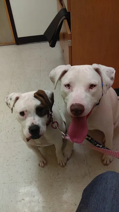 Banfield Pet Hospital 12