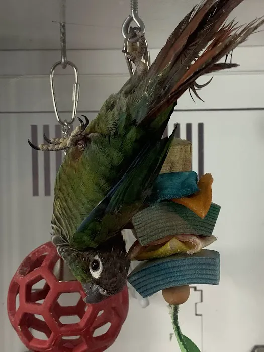 Petco 12