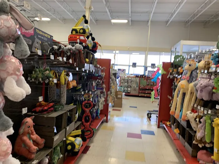 Petco 12