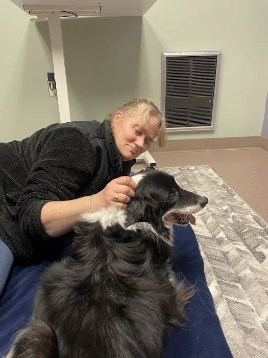 Brooklyn Road Veterinary Clinic 9