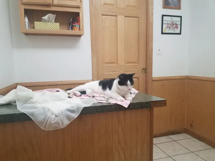 Animal Hospital of Vandercook Lake 3