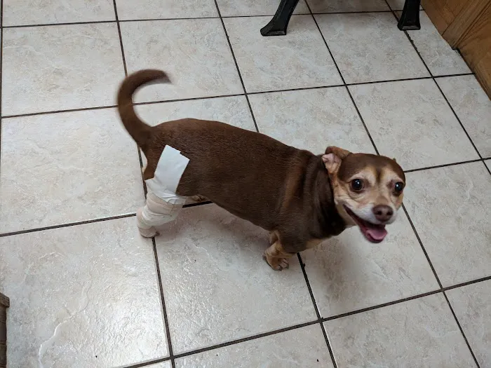 Animal Hospital of Vandercook Lake 4