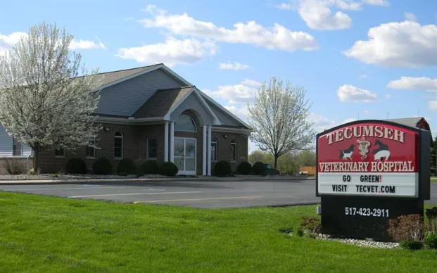 Tecumseh Veterinary Hospital 10