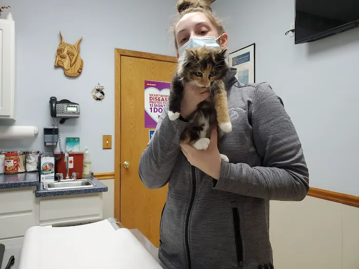 Tecumseh Veterinary Hospital 5