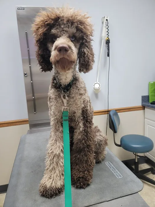 Tecumseh Veterinary Hospital 1