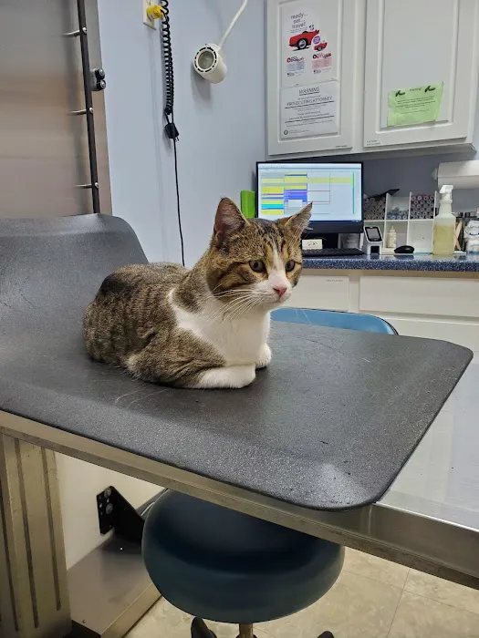 Tecumseh Veterinary Hospital 4