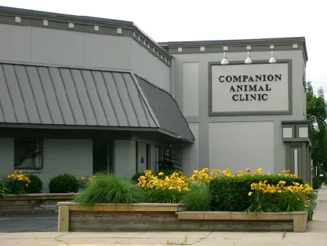 Companion Animal Clinic 10