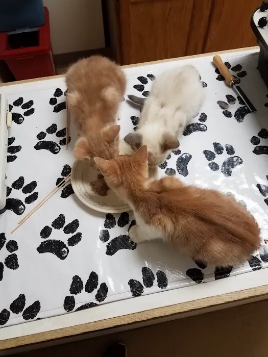 Countryside Veterinary Clinic 3