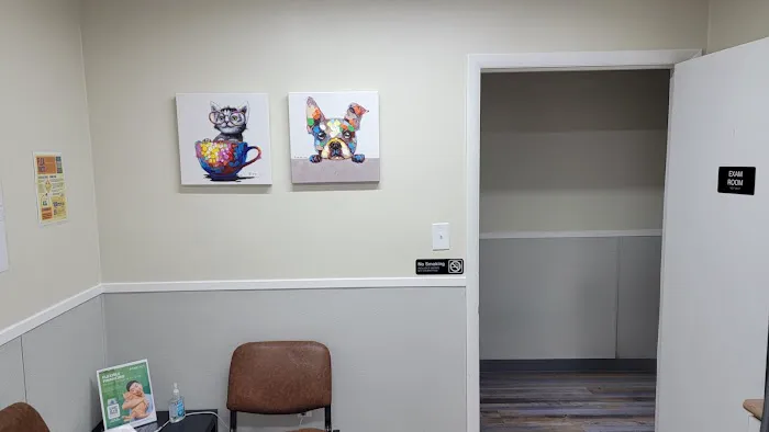 The Bridge Urgent Pet Care 12