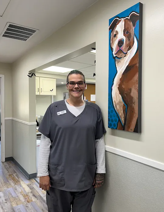 The Bridge Urgent Pet Care 12