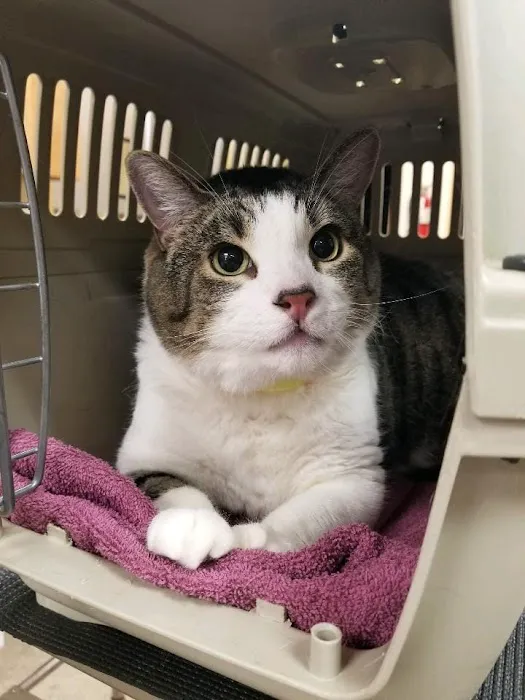Veterinary Emergency Center 12
