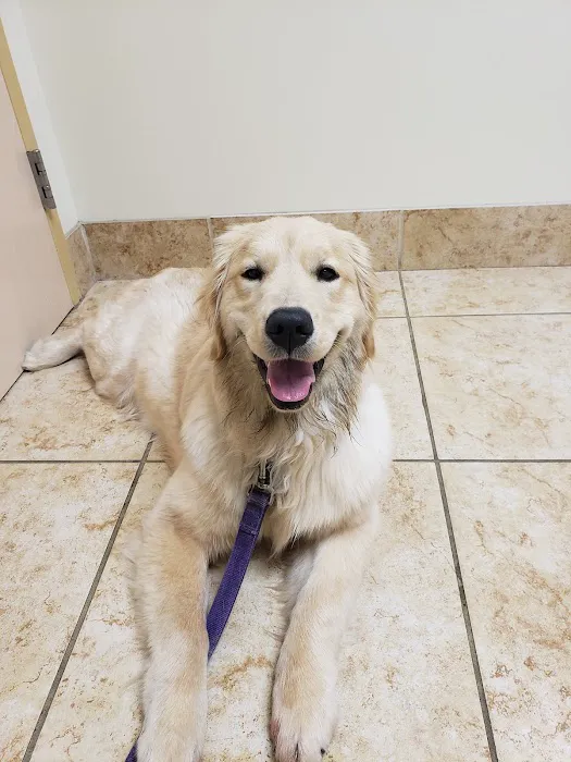 Veterinary Emergency Center 12