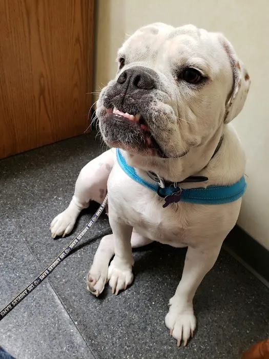 Brannan Veterinary Clinic 12