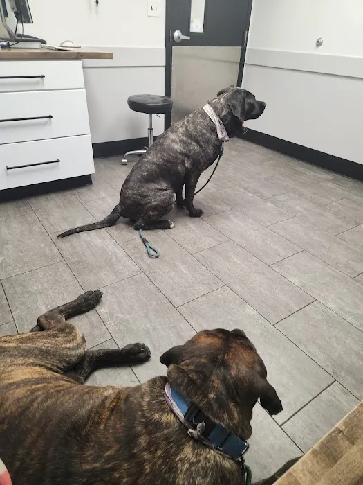 Heritage Animal Hospital 4