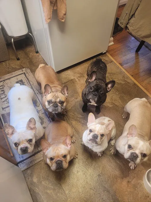 Heritage Animal Hospital 3