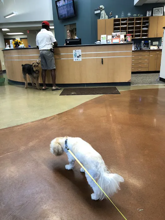 Sylvania Veterinary Hospital: Hissam Kate DVM 12