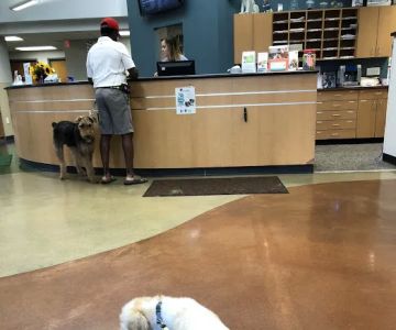 Sylvania Veterinary Hospital: Hissam Kate DVM