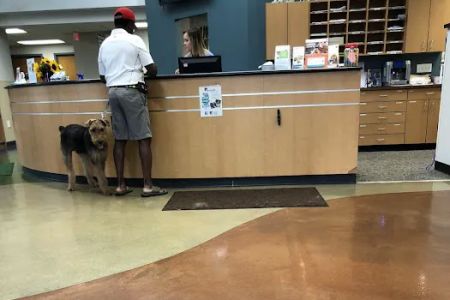 Sylvania Veterinary Hospital: Hissam Kate DVM