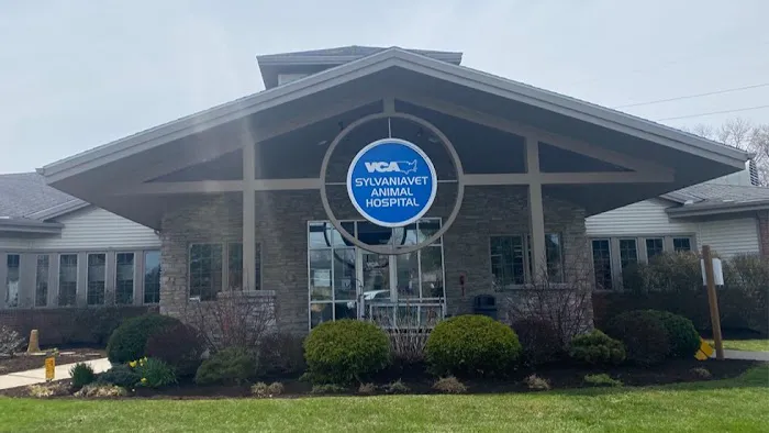VCA SylvaniaVET Animal Hospital 12