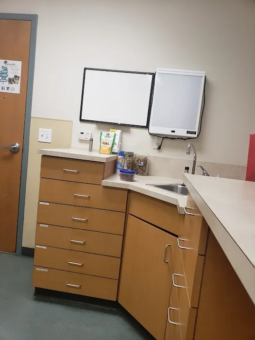 VCA SylvaniaVET Animal Hospital 12