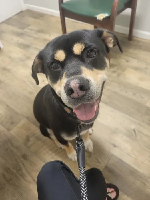 Northwest Veterinary Clinic 1