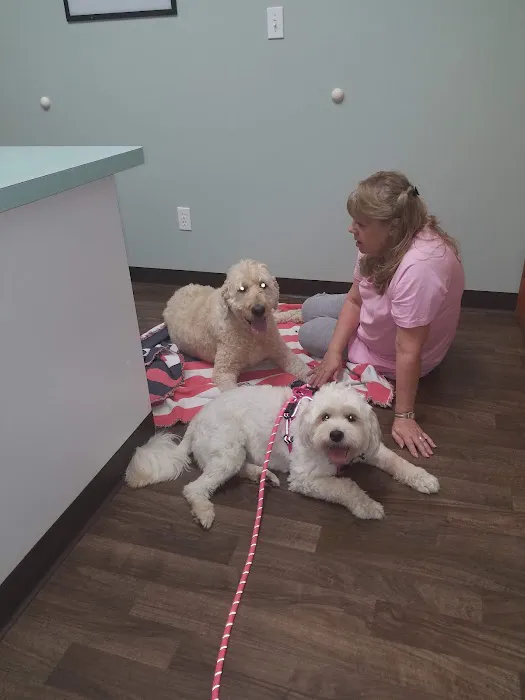 Blackman Animal Clinic 3