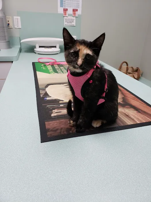 Blackman Animal Clinic 9
