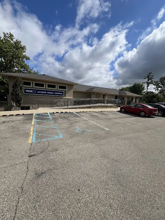 VCA Jackson Animal Hospital 6