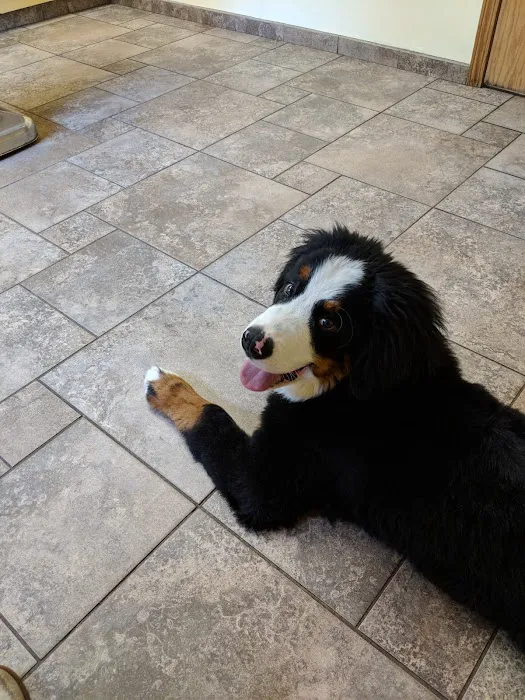 VCA Jackson Animal Hospital 7