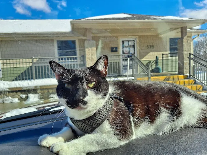 VCA Jackson Animal Hospital 3